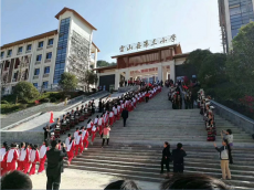 2024澳门免费原料网站