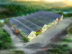 2024澳门免费原料网站